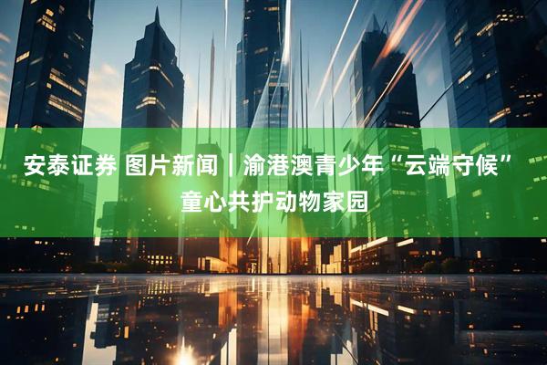 安泰证券 图片新闻｜渝港澳青少年“云端守候” 童心共护动物家园