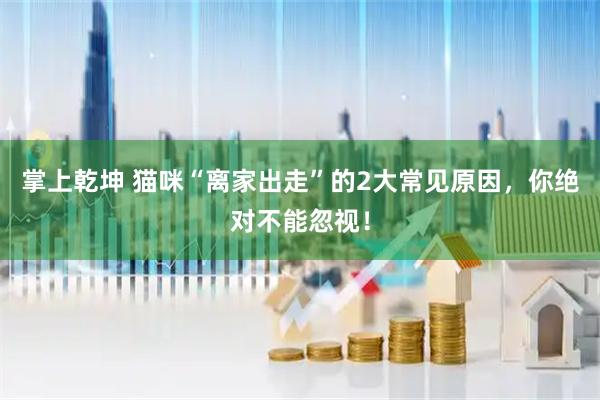 掌上乾坤 猫咪“离家出走”的2大常见原因，你绝对不能忽视！