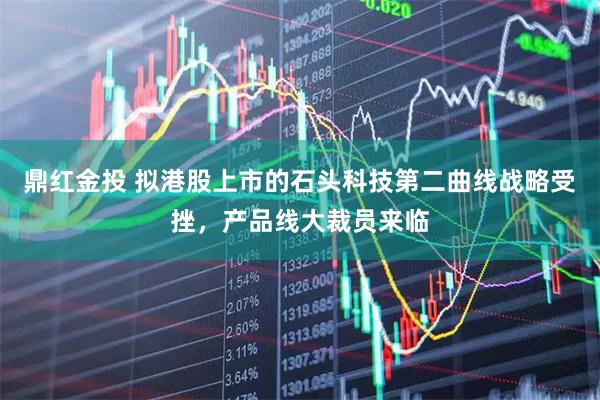 鼎红金投 拟港股上市的石头科技第二曲线战略受挫，产品线大裁员来临