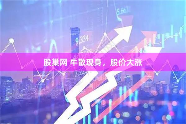 股巢网 牛散现身，股价大涨